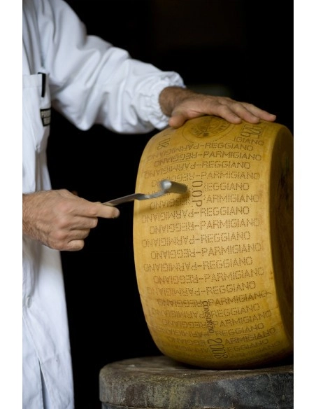 Rocca Parmigiano Reggiano Appx. 86 lb Whole Wheel — Piccolo's