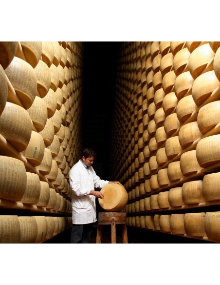 Parmigiano Reggiano DOP Whole and Half cheese wheels