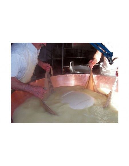 Parmigiano Reggiano PDO - Bonat - 10 Years 